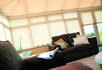 lichfield blinds conservatory