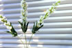 pleated blind performance fabrics